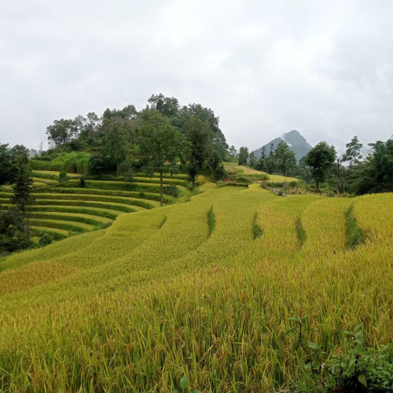 Bac Ha Charm Stay Exteriér fotografie